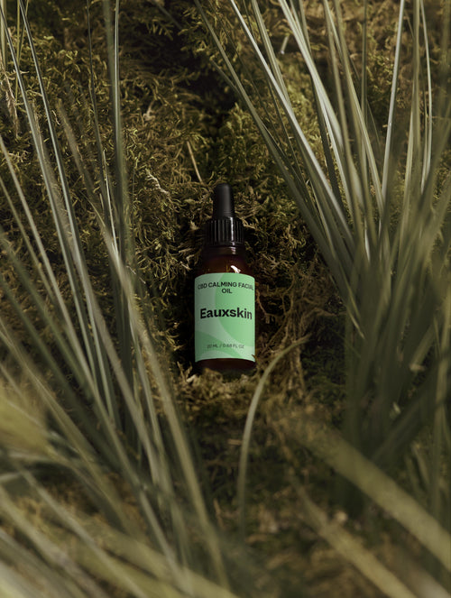 CBD Calming Facial Oil